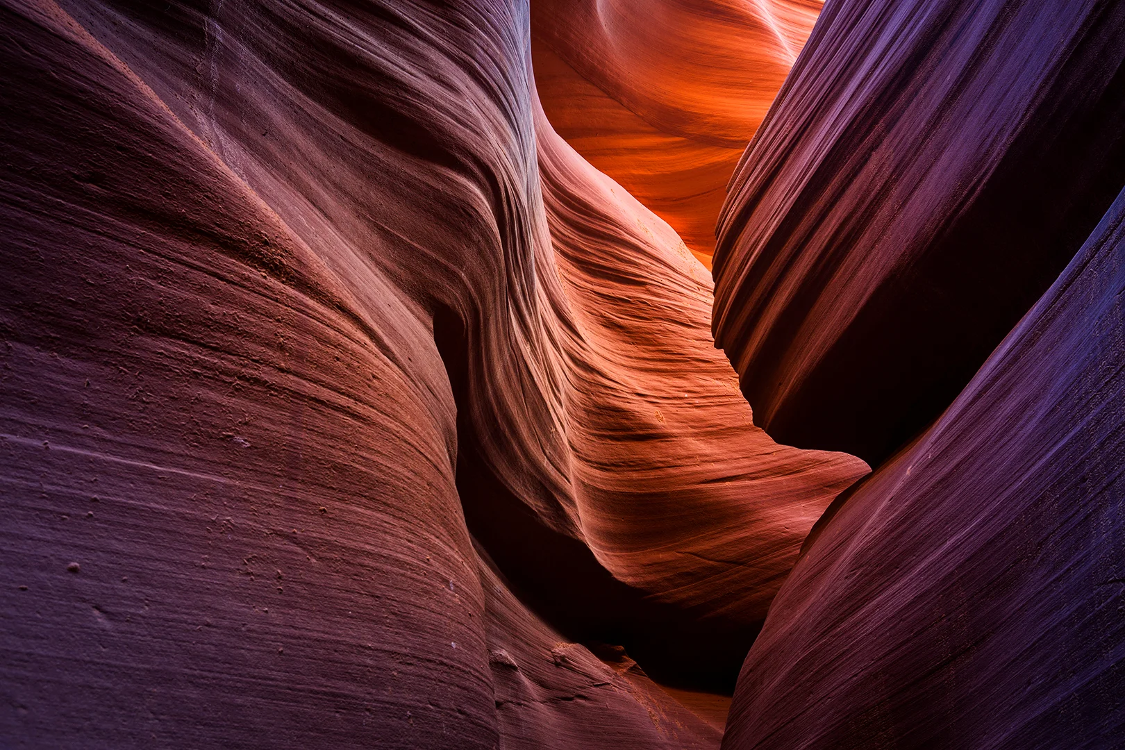 Antelope.jpg