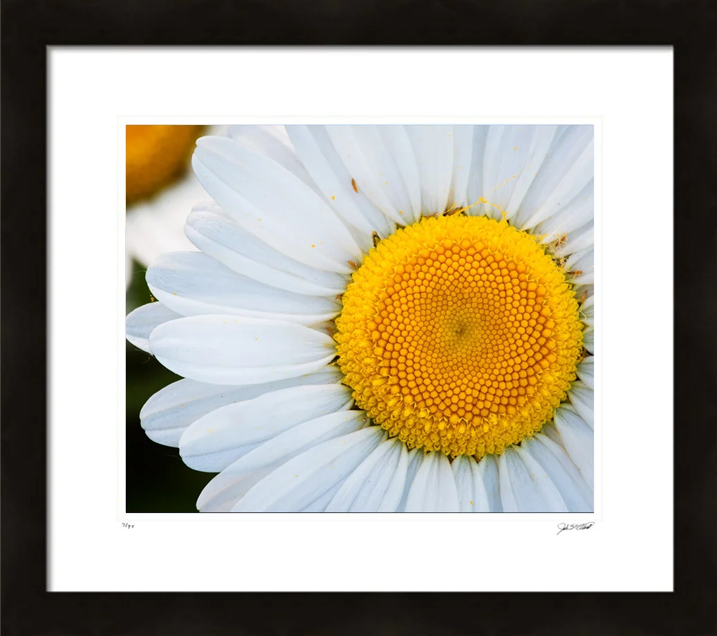 Rectangle 12215.jpg