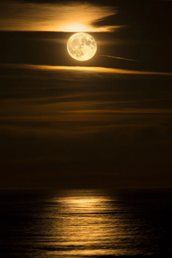 Supermoon-Rising.jpg