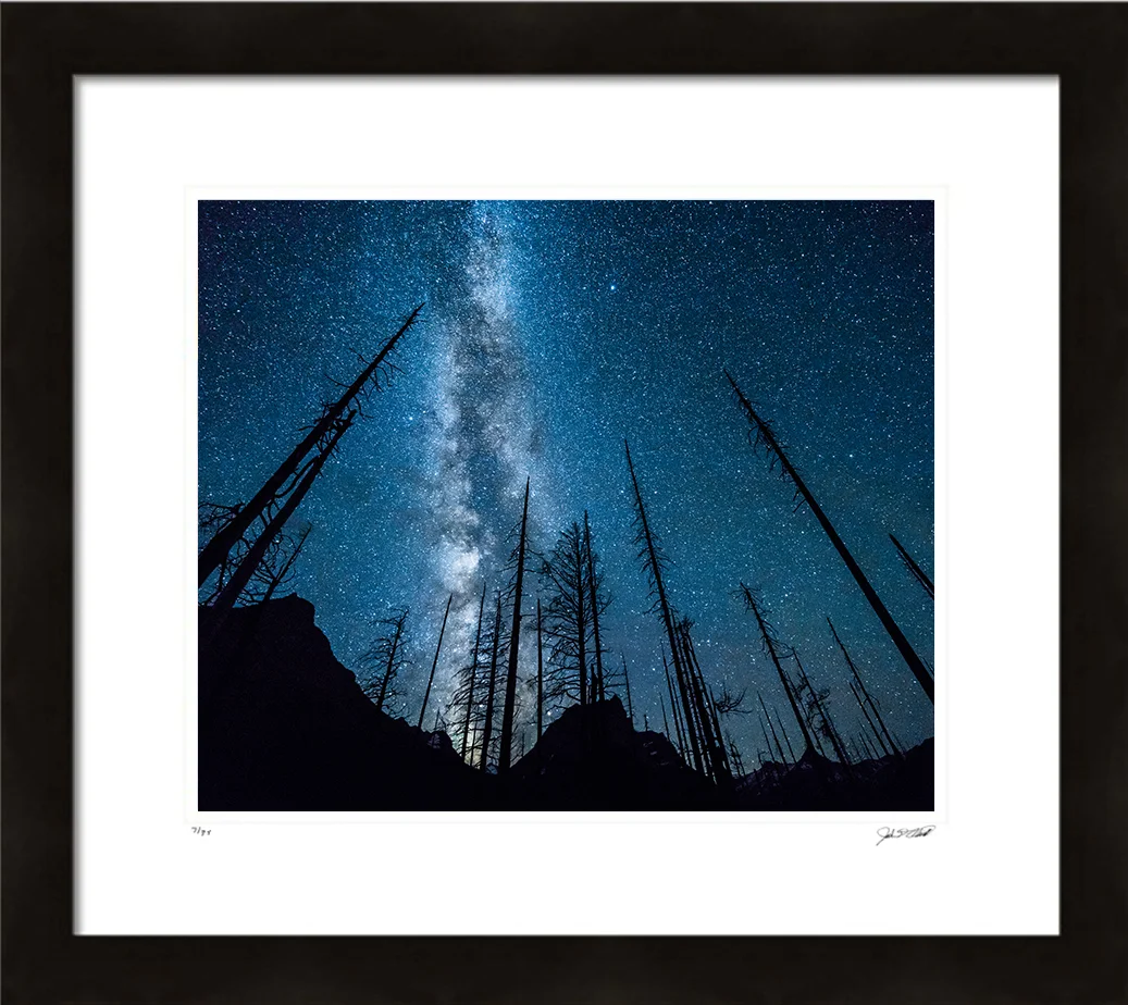 Framed Amidst the Ashes.jpg