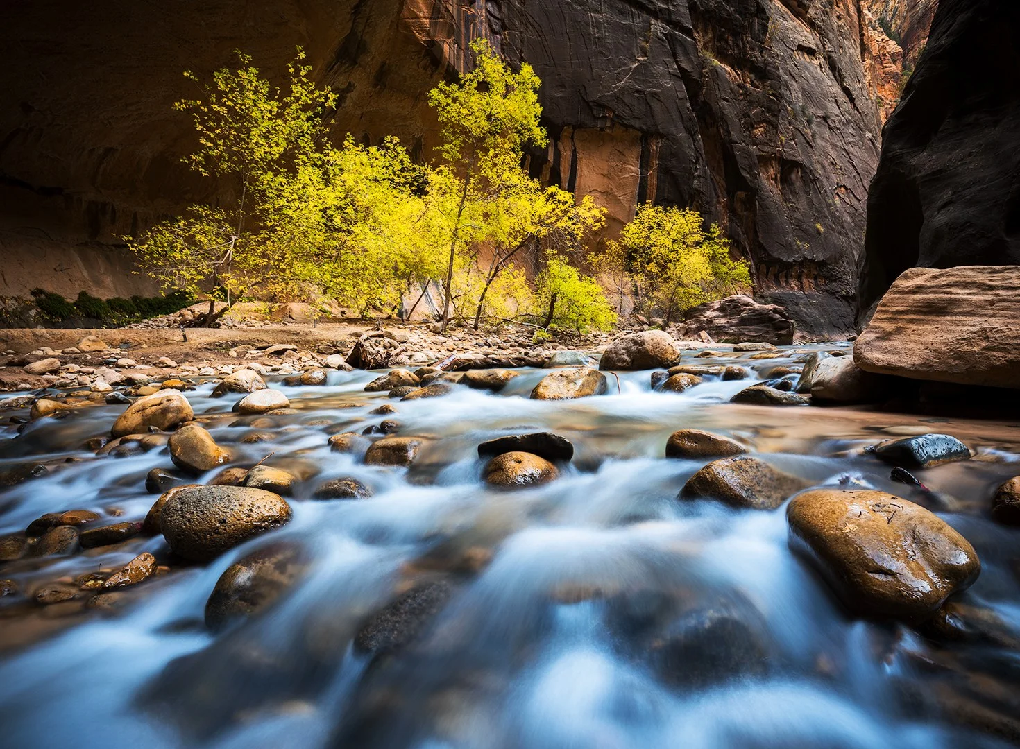 Autumn in the Narrows
