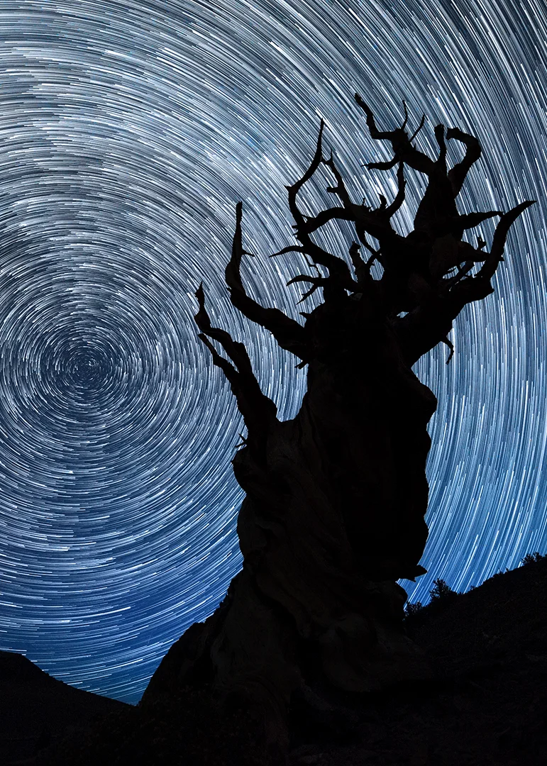 Evening with the Ancients #2