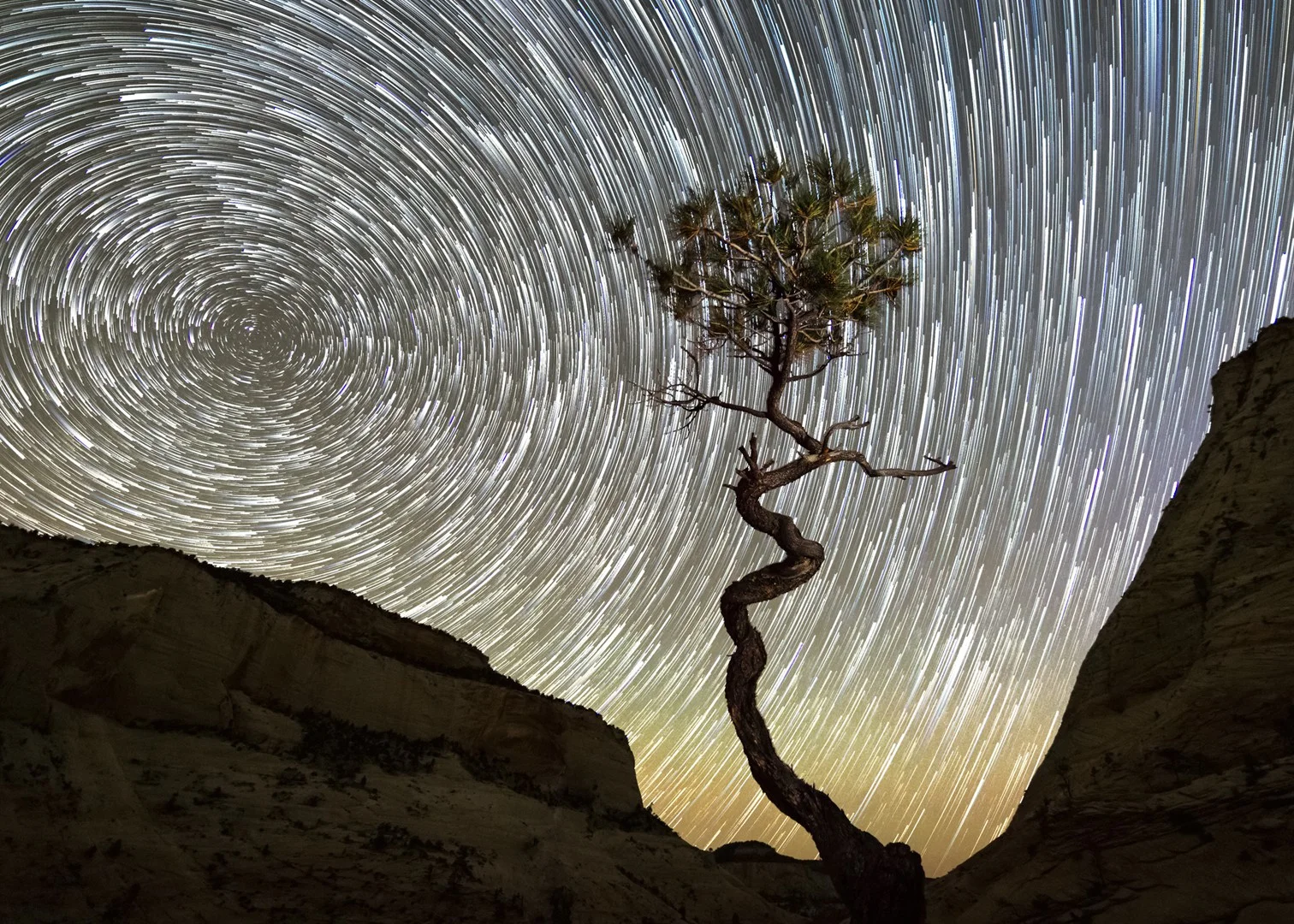 Twisted Nightscape