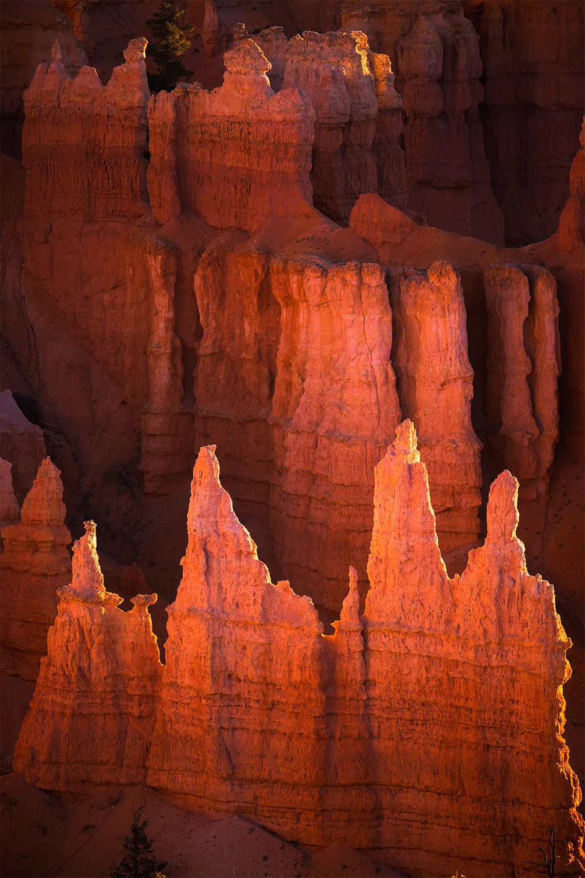 Bryce Canyon Glow