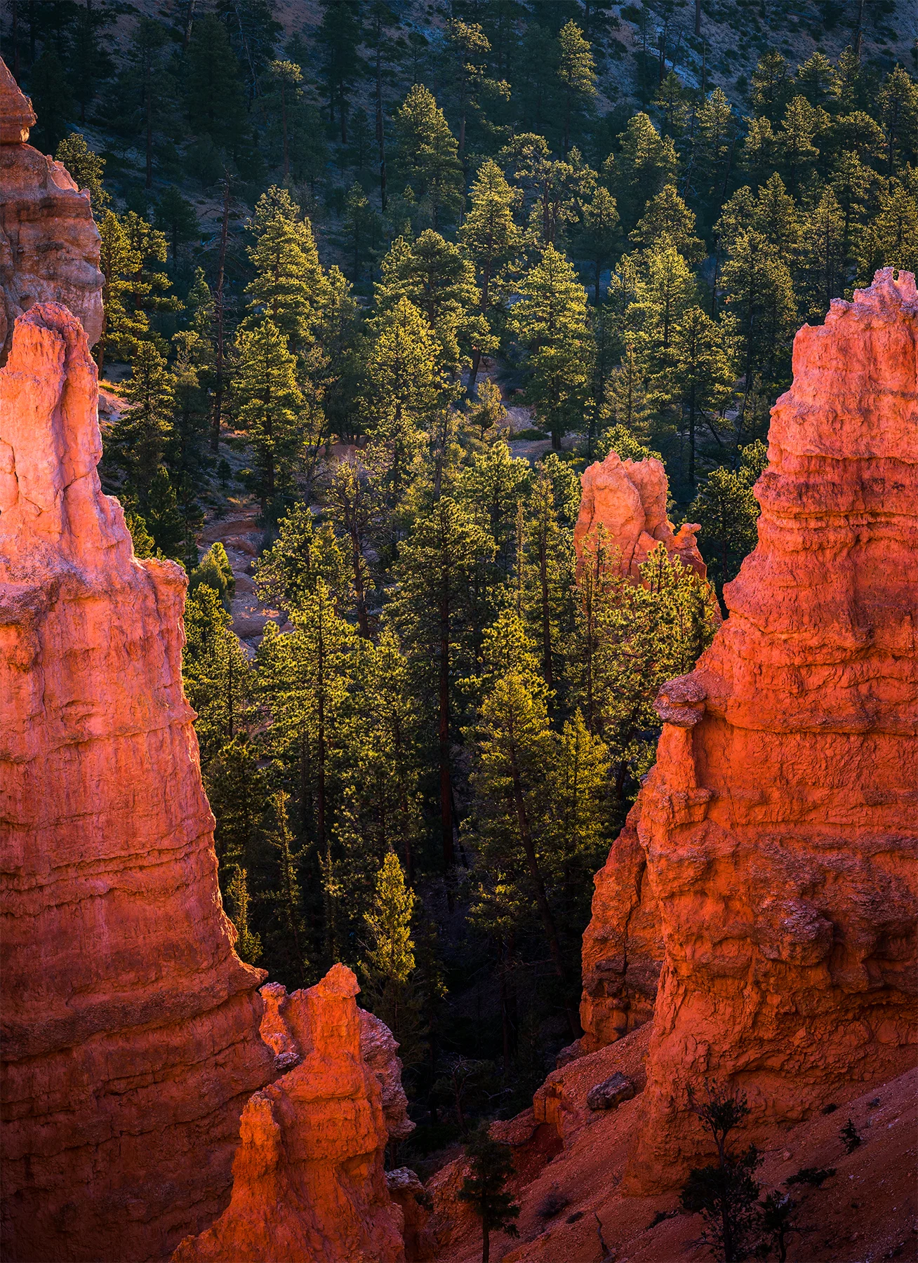 Life Amidst the Hoodoos 2_FB.jpg