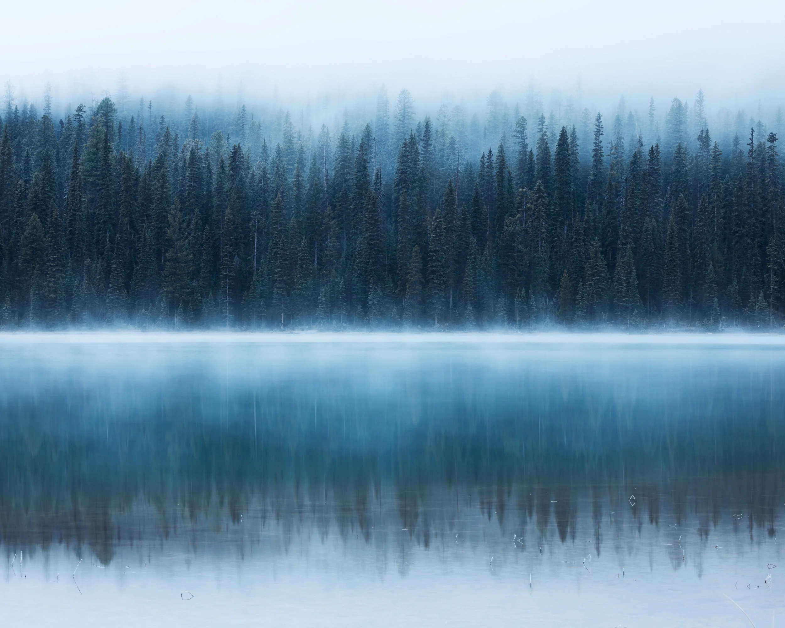 Emerald Mist