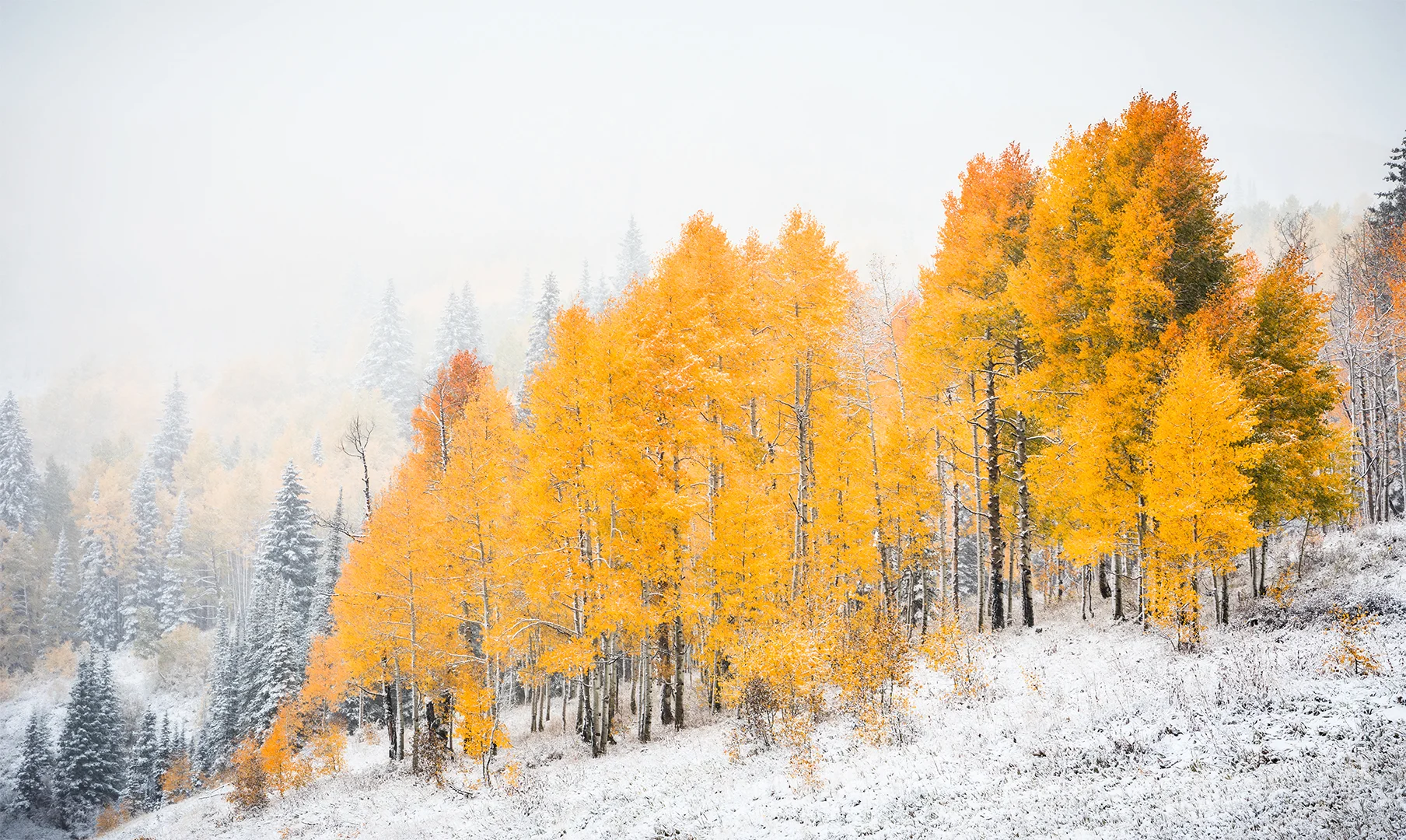 Snowtember
