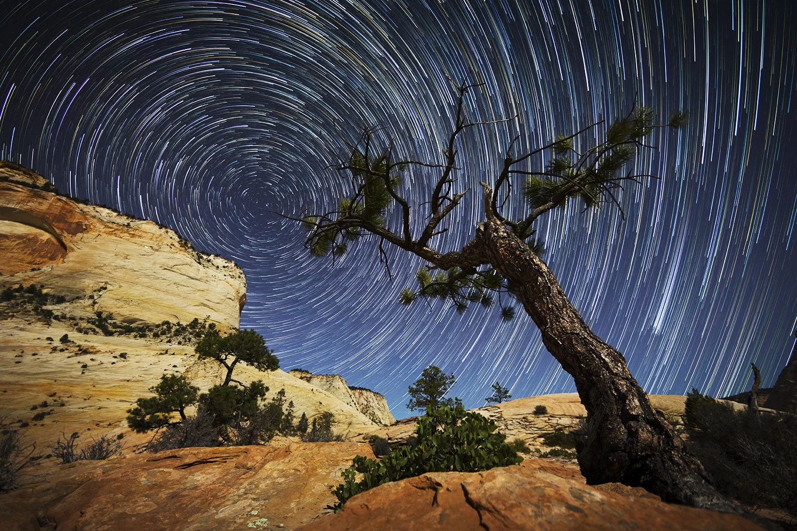 Night on the Mesa