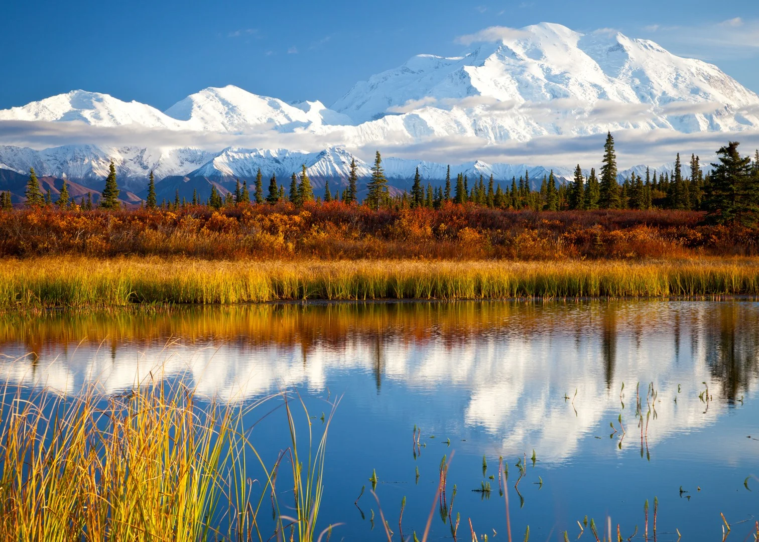 Denali Reflection