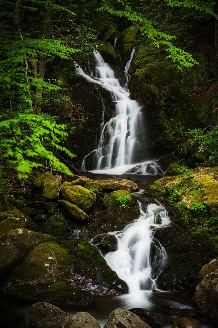 Mouse Creek Falls