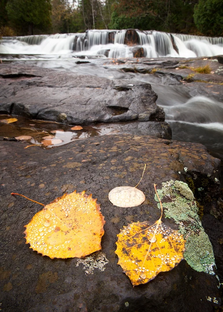 Bond Falls Autumn