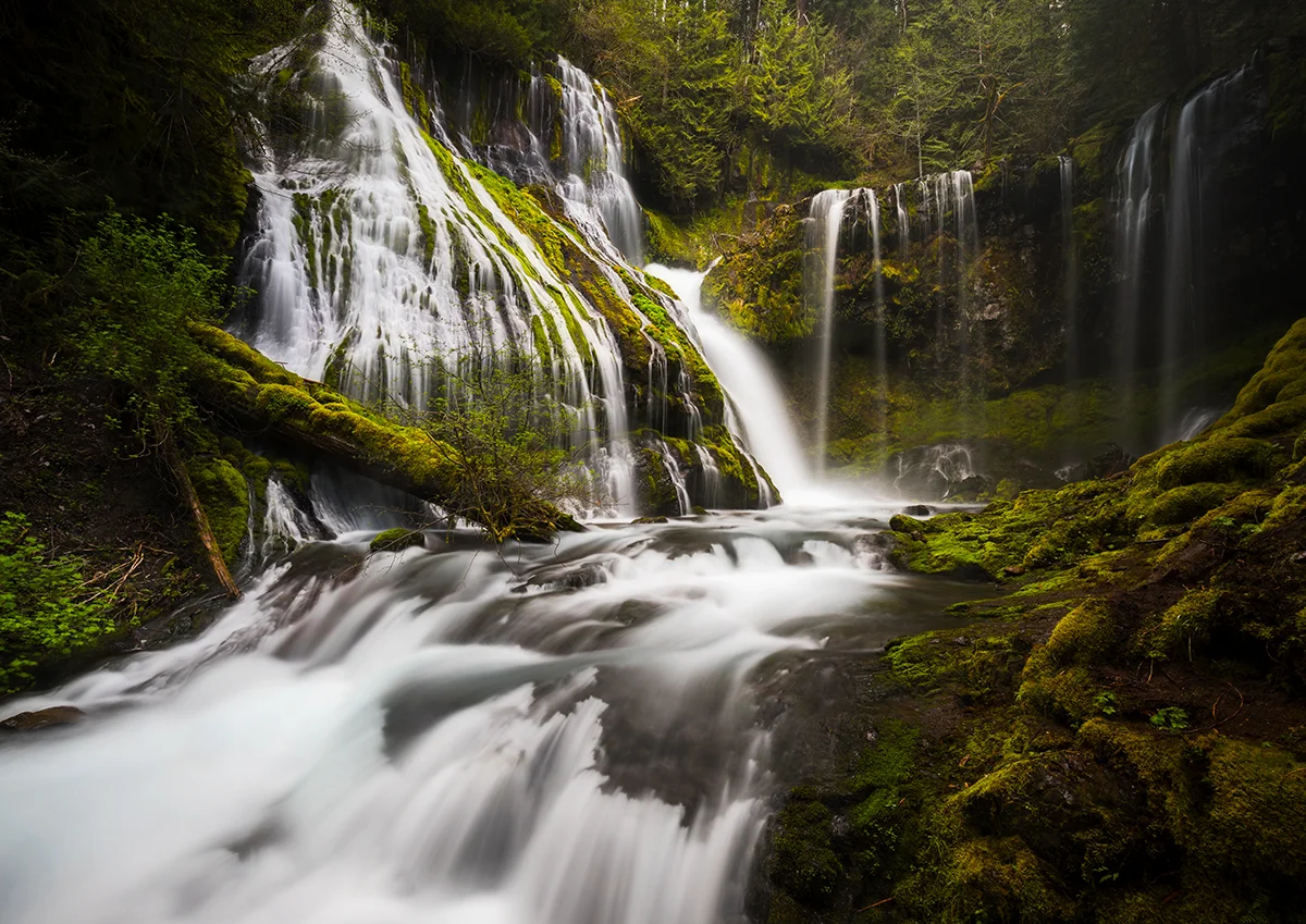 Panther Creek Falls