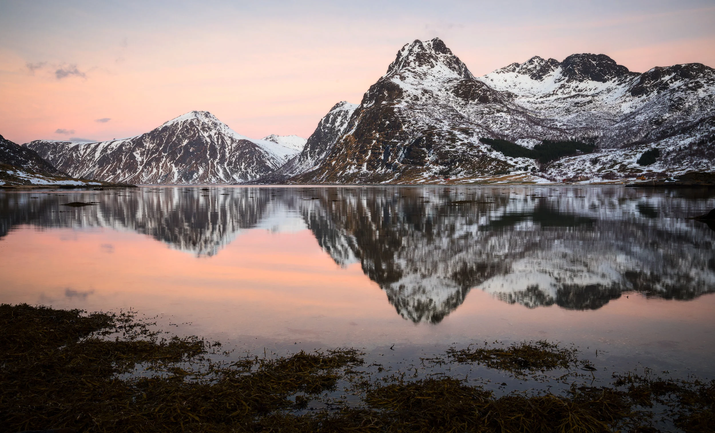 Fjordland.jpg