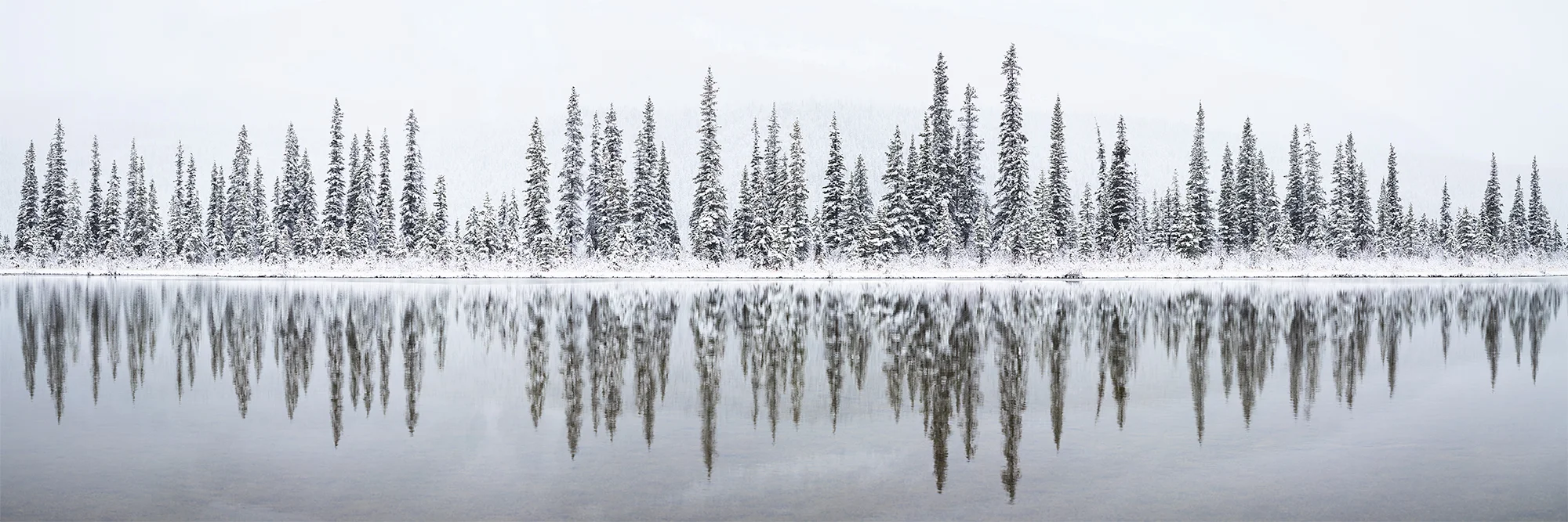 Rampart Creek-Pano-12x36.jpg