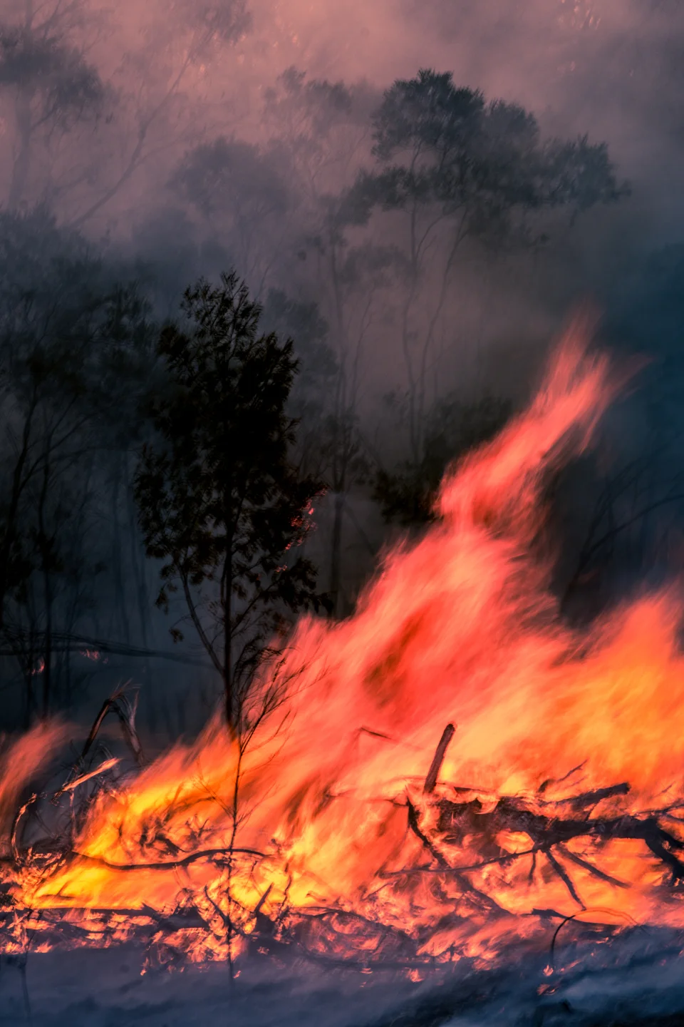  Torrington NSW, 2019 
