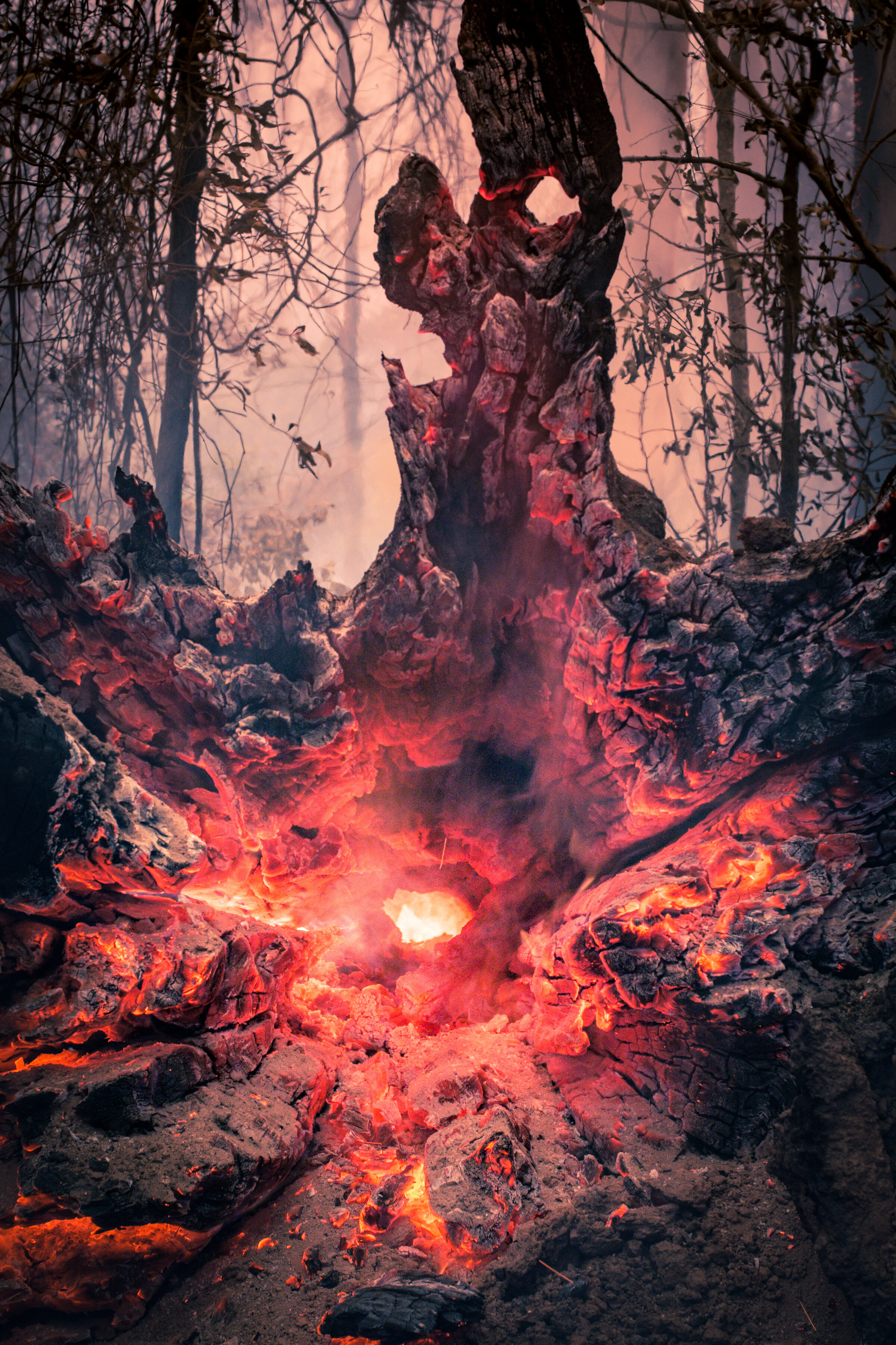   the Abyss.  Drake NSW, 2019 