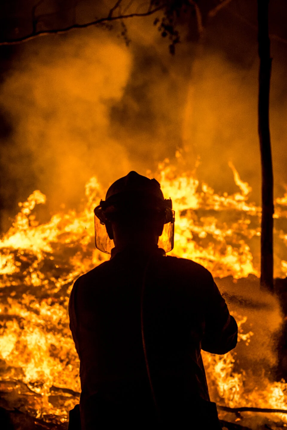   Silhouette . Glen Davis NSW 2019 