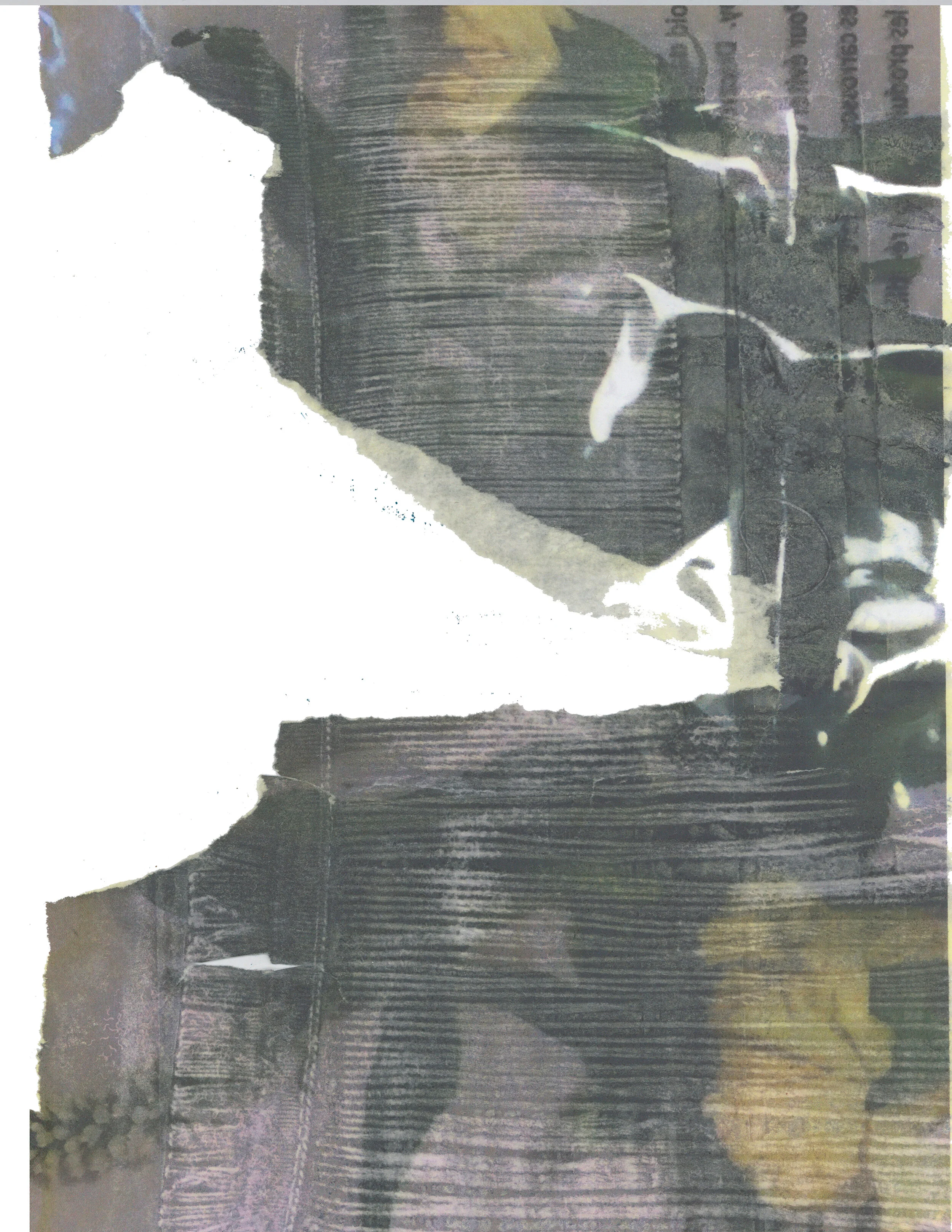 DS2 SCANL.jpg