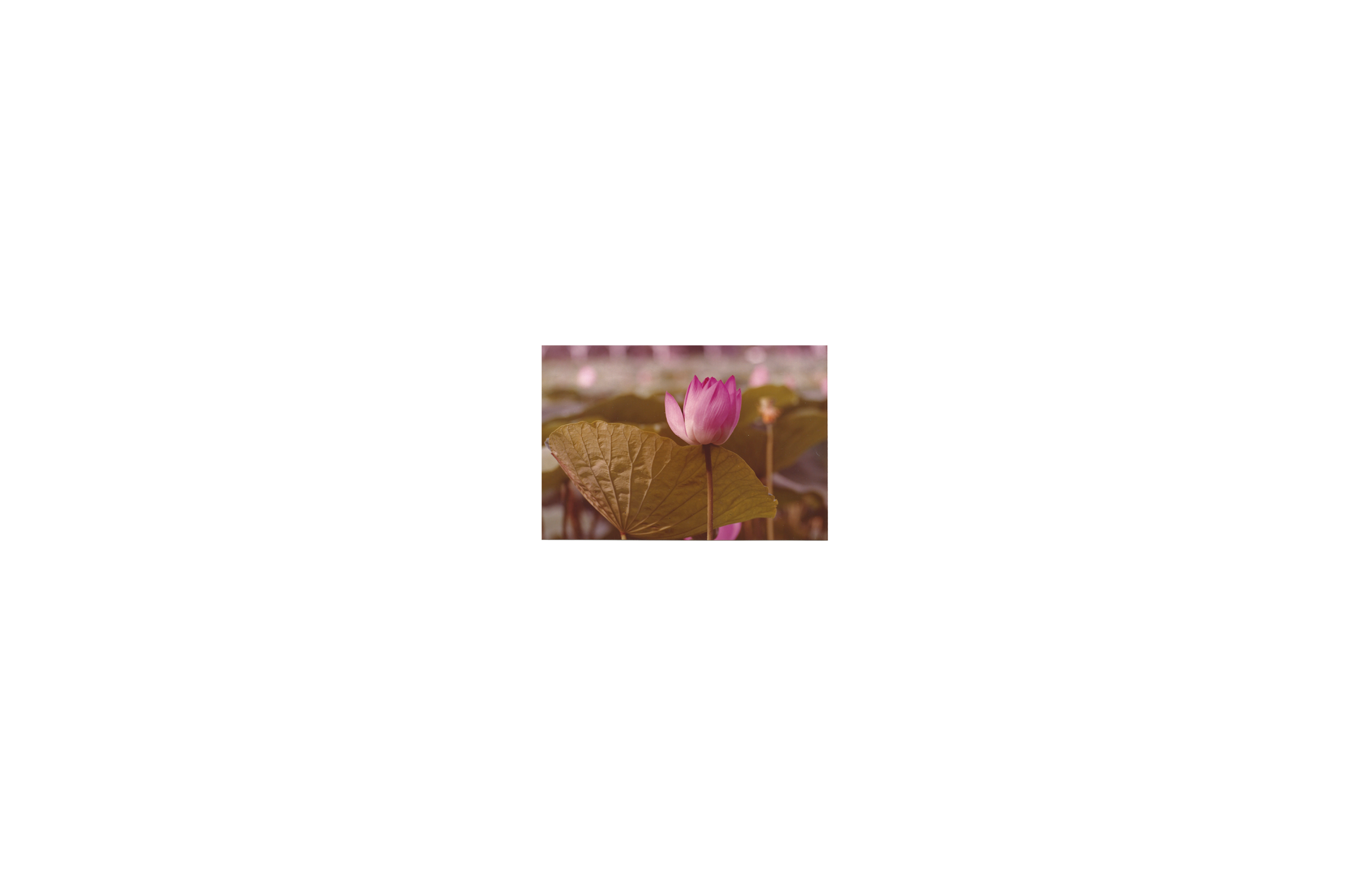 1-smaller.png