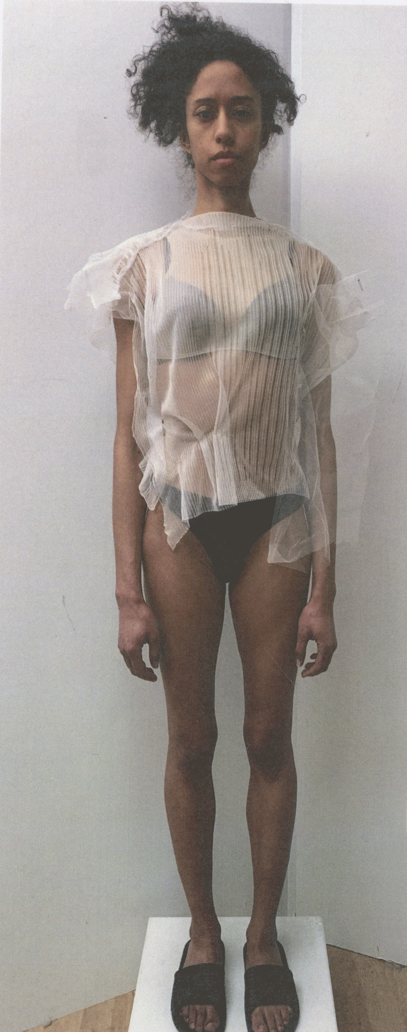 look6top.gif