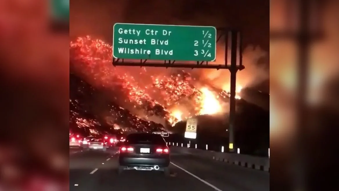 LA Fire.jpg