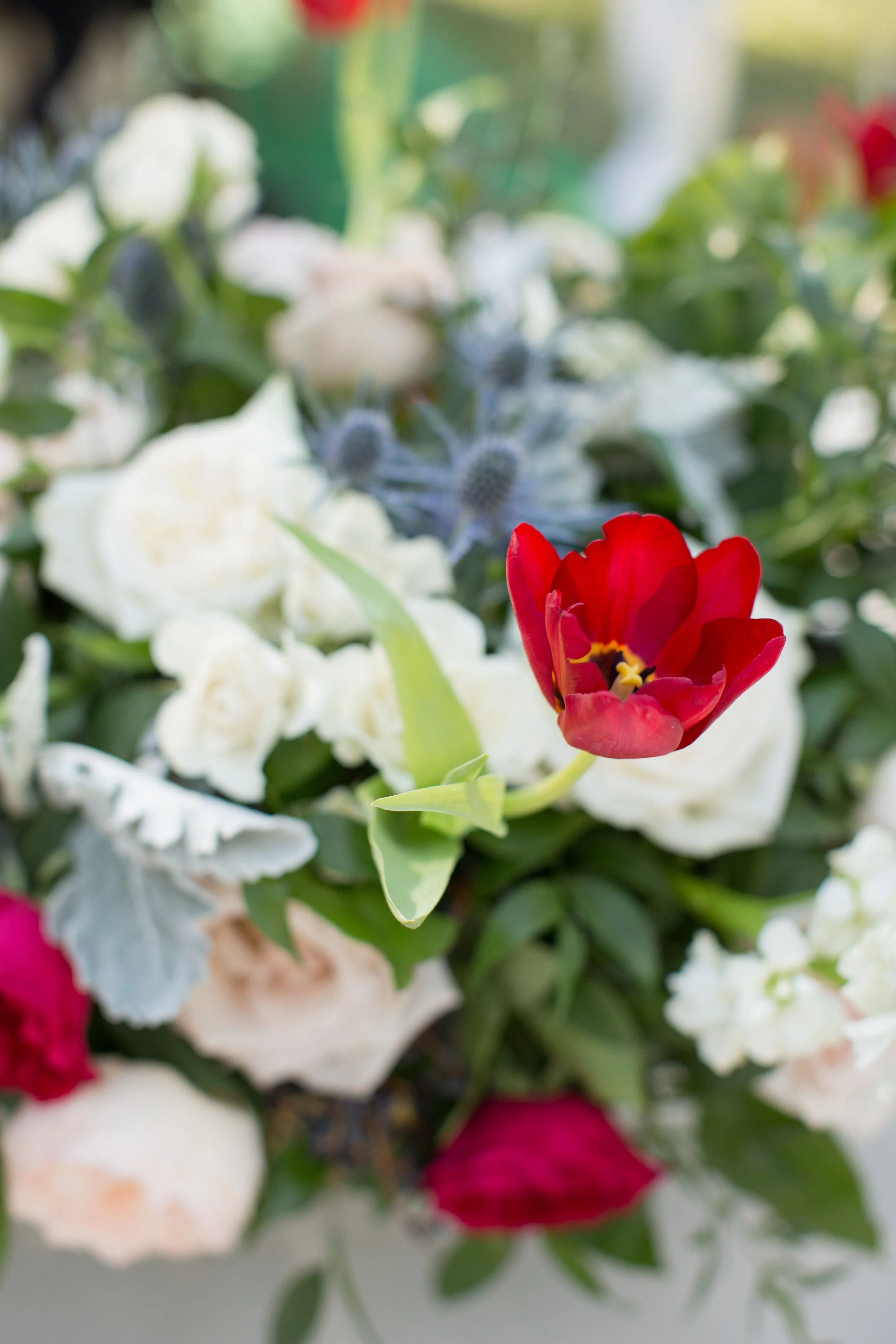 Ringger Wedding-HIGH RESOLUTION IMAGES-0152.jpg