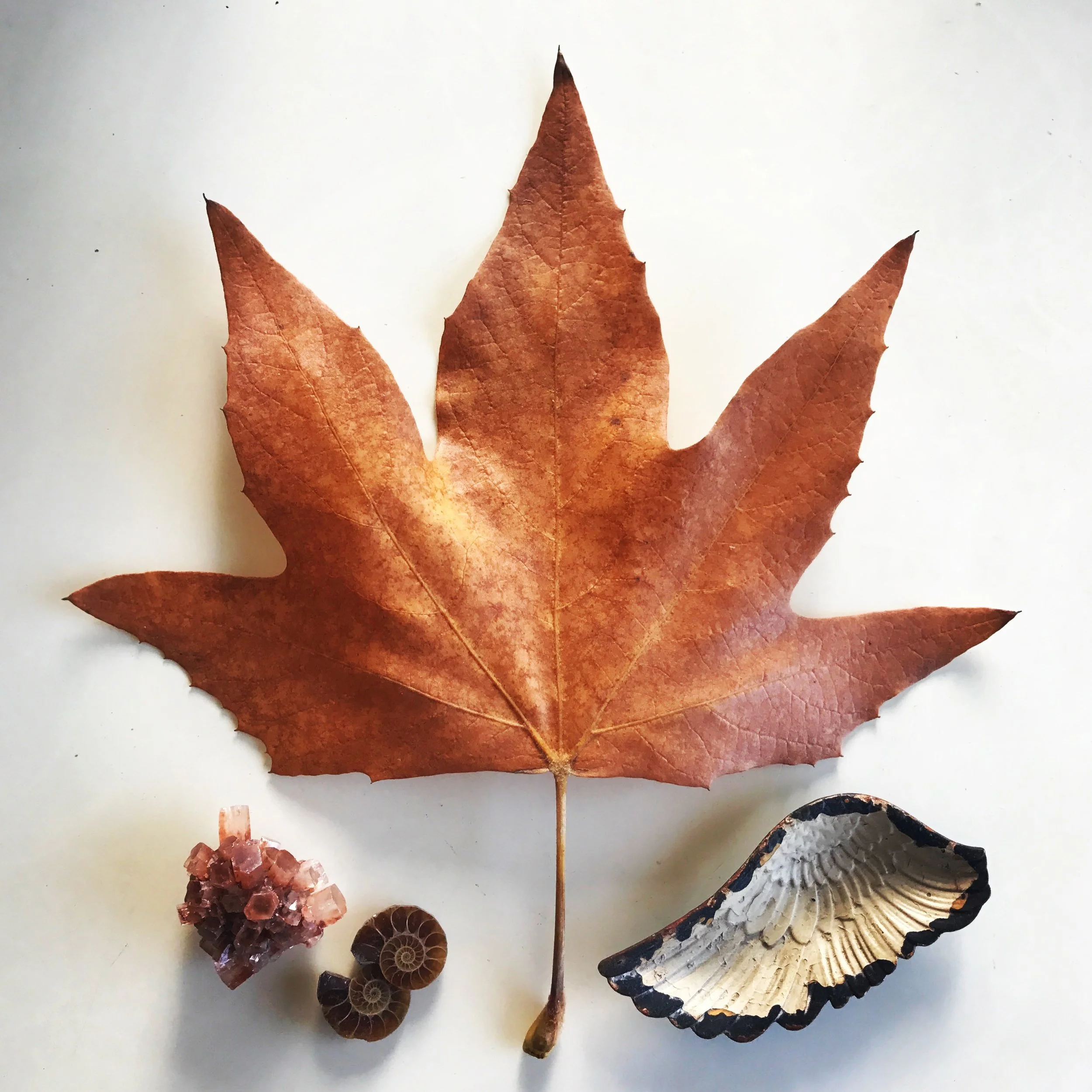 Fall Equinox