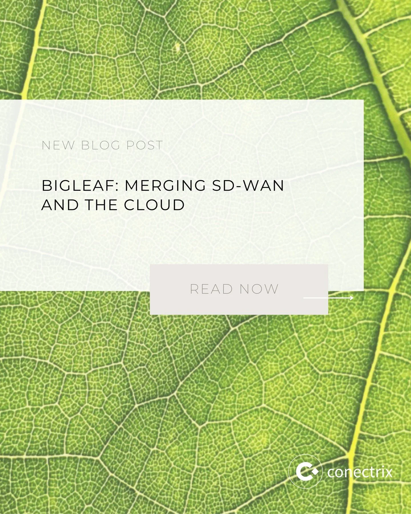 // Bigleaf: Merging SD-WAN and the Cloud //⁠
⁠
 Thinking about SD-WAN but not sure where to start? We&rsquo;re busting the #1 misconception around CloudGenix&rsquo;s SD-WAN &mdash; and what it really means for your network performance. 💡🍃⁠
⁠
Read m