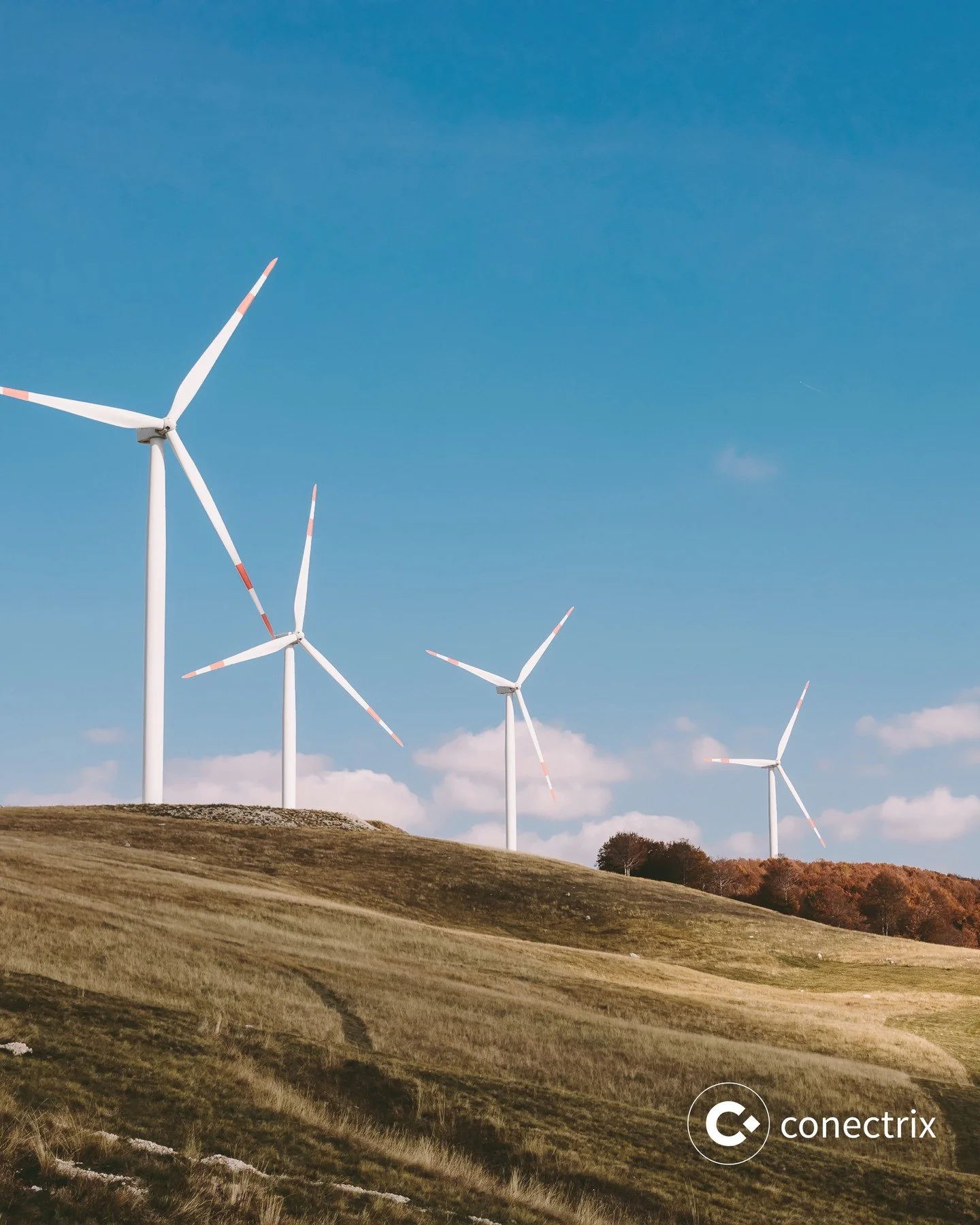 Powering the future of energy starts with smarter strategy. ⚡⁠
⁠
Conectrix helps energy and utilities companies innovate, optimize operations, and build more sustainable, customer-focused solutions.⁠
Learn more at conectrix.io/contact!⁠
.⁠
.⁠
.⁠
#Con