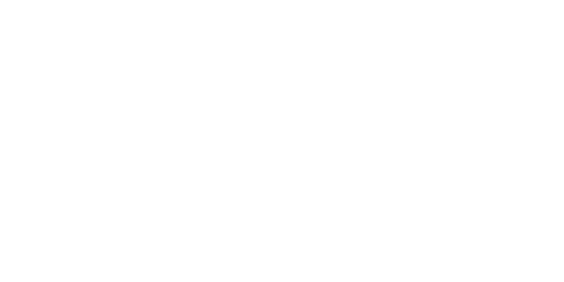 08-bergman_100.png