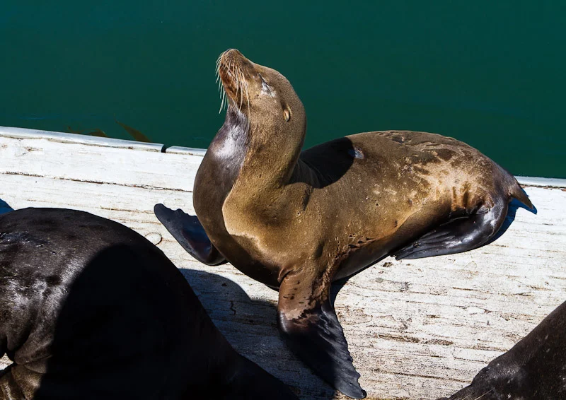 Road Trip: Day Thirteen