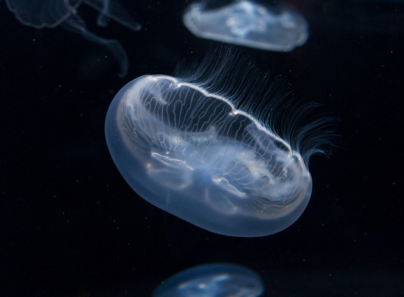 Road Trip: Day Fourteen