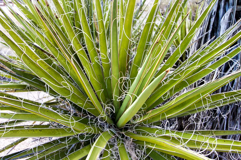 Road Trip: Day Fifteen