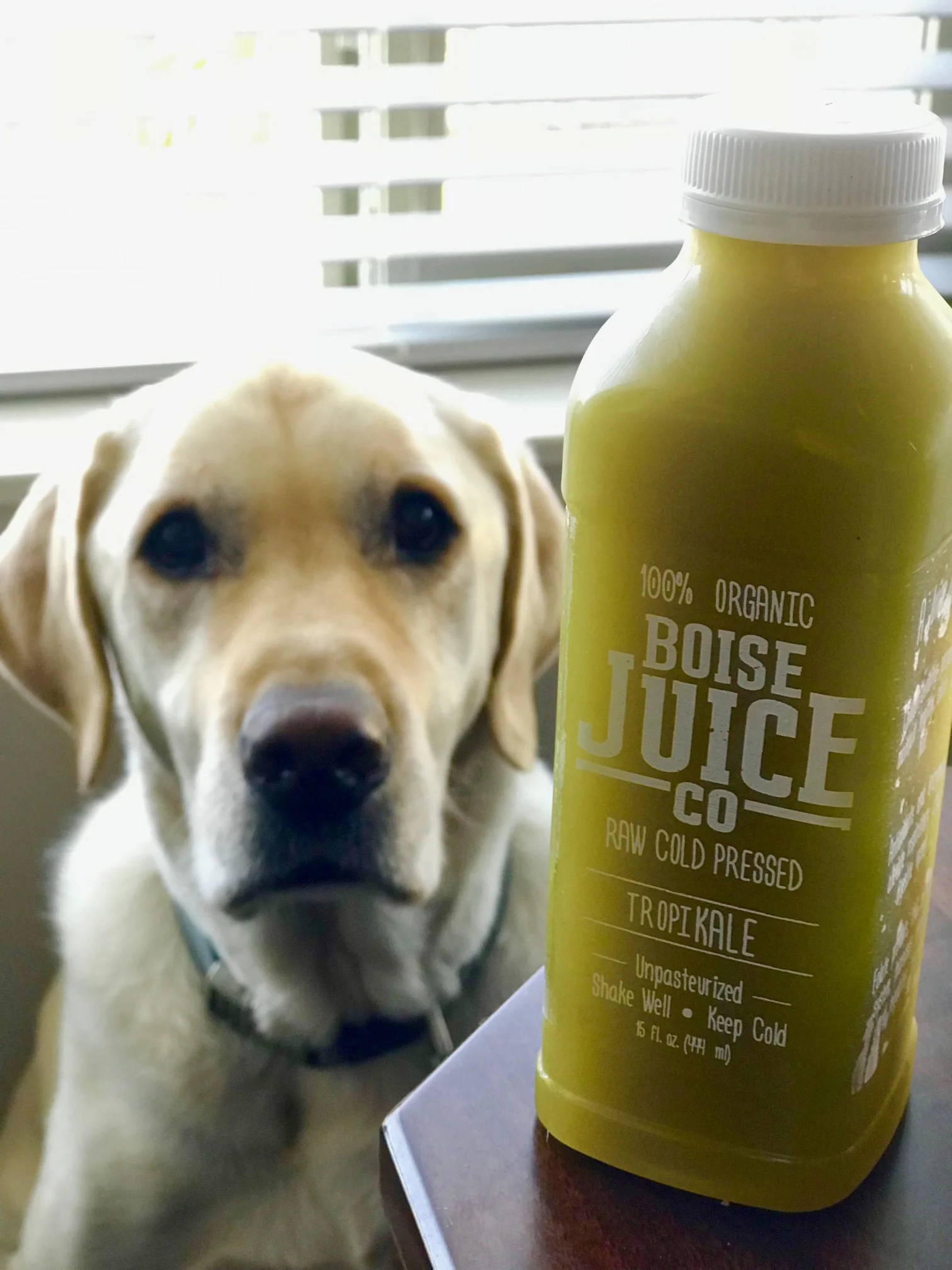 Boise Juice Co. 3Day Juice Cleanse What to Expect — Boise Bucket List