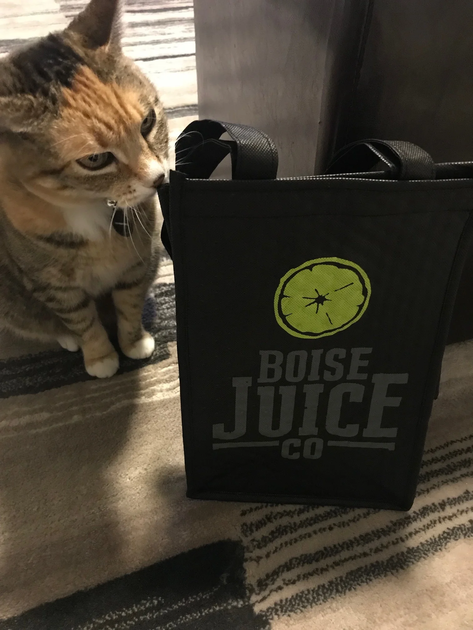 Boise Juice Co. 3Day Juice Cleanse What to Expect — Boise Bucket List