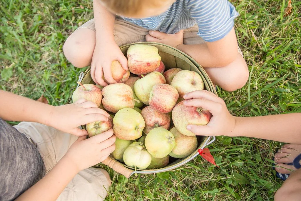 Source: Anderson Apple Ranch Website