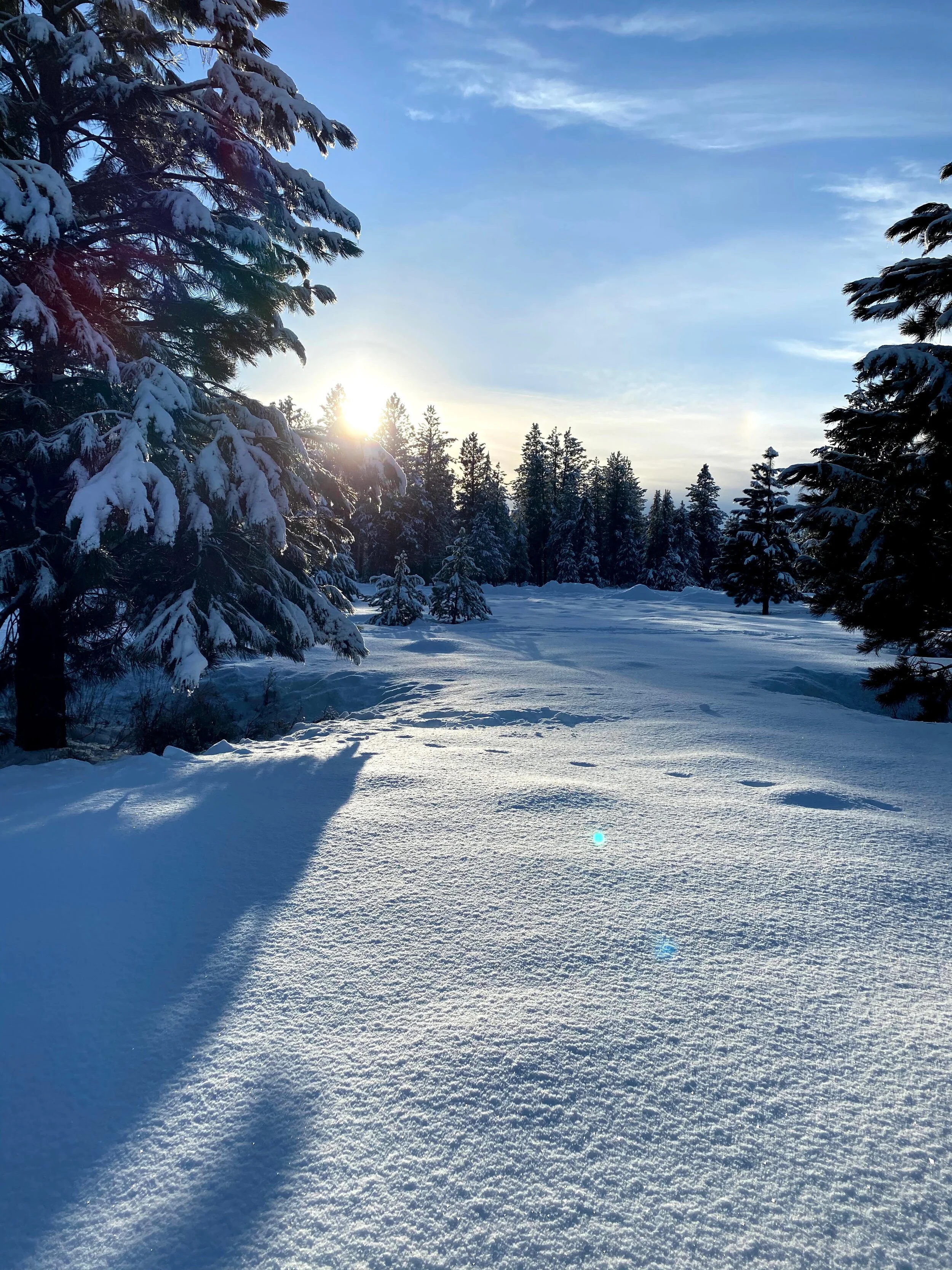 Resolution or Intention&nbsp;