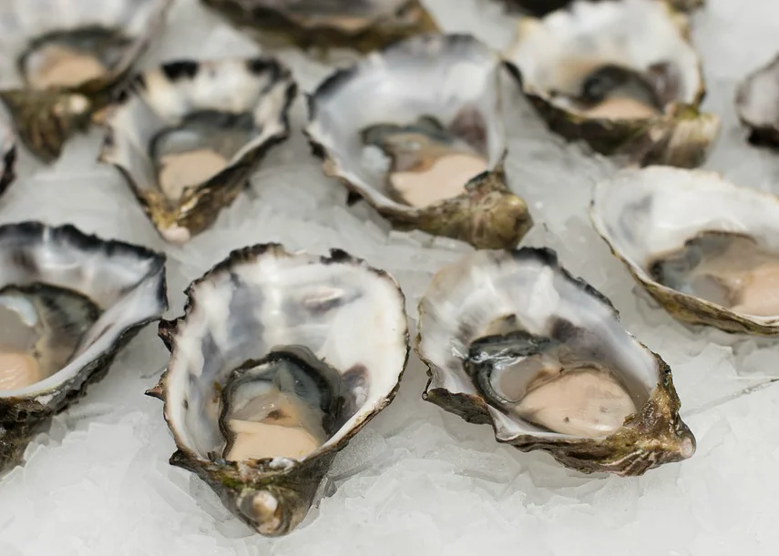 Act 343 of 2015: Increases the lease rental rates and severances taxes on oysters. The passage of this act is significant because it was an increased tax. Although it was industry supported with the proceeds dedicated back to the development of oyster seed grounds, the posture of the legislature was not to pass any new or extending taxes. This did take some work but was successful. Act 570 of 2016: Allows for the cultivation of oysters on dually claimed water bottoms. The bill was linked to the passage of HB 902 (Act 595) that establishes the process by which oyster farmers can file for permits which will lead to the lifting of the “Oyster Lease Moratorium.”