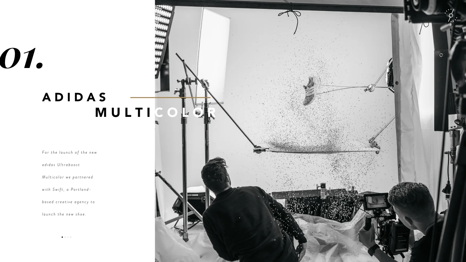 Adidas_Multicolor_Images.001.jpeg