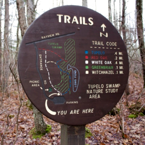 Screen Shot 2017-03-22 at 10.30.29 PM.jpg