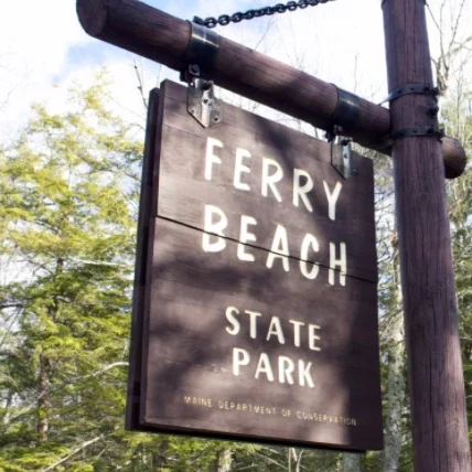 Screen Shot 2017-03-22 at 10.31.09 PM.jpg