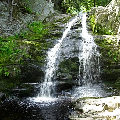 Screen Shot 2017-03-22 at 10.51.32 PM.jpg