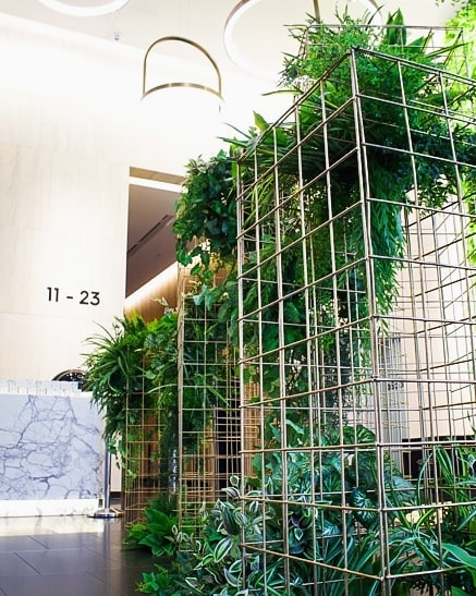 FRESH 🍃 A fresh looking feature installation of our gold wire mesh plinths and greenery for this lobby launch 🍀🌿
.
.
.
.
.
📸 @creative.kiwa
.
.
.
.
#eventdesign #greenerydecor #brisbaneeventhire #cocktailstyle #brisbaneeventstyling #brisbaneevent