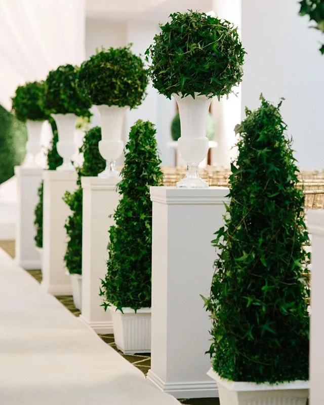 WALK THIS WAY | A grand entrance with style! ⠀⠀⠀⠀⠀⠀⠀⠀⠀
.⠀⠀⠀⠀⠀⠀⠀⠀⠀
.⠀⠀⠀⠀⠀⠀⠀⠀⠀
.⠀⠀⠀⠀⠀⠀⠀⠀⠀
Venue: @brisbanecityhall⠀⠀⠀⠀⠀⠀⠀⠀⠀
@theepicurefoodies⠀⠀⠀⠀⠀⠀⠀⠀⠀
Planner: @whitewhiteweddings⠀⠀⠀⠀⠀⠀⠀⠀⠀
📸 Chris Hall Photography⠀⠀⠀⠀⠀⠀⠀⠀⠀
🍃@alwaysfabulousflowers ⠀⠀