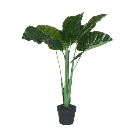 ARTIFICIAL ELEPHANT EAR PALM (80 CM H) $25+GST
