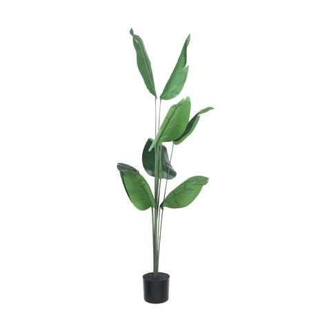ARTIFICIAL BIRD OF PARADISE PALM (150 CM H) $35+GST