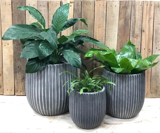 STRIPED GREY POT SMALL(20 CM H X 21 CM W) $12+GST MEDIUM(26 CM H X 27 CM W) $15+GST LARGE(32 CM H X 32 CM W) $20+GST