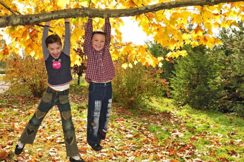 Tree 4.kidsswing.jpg