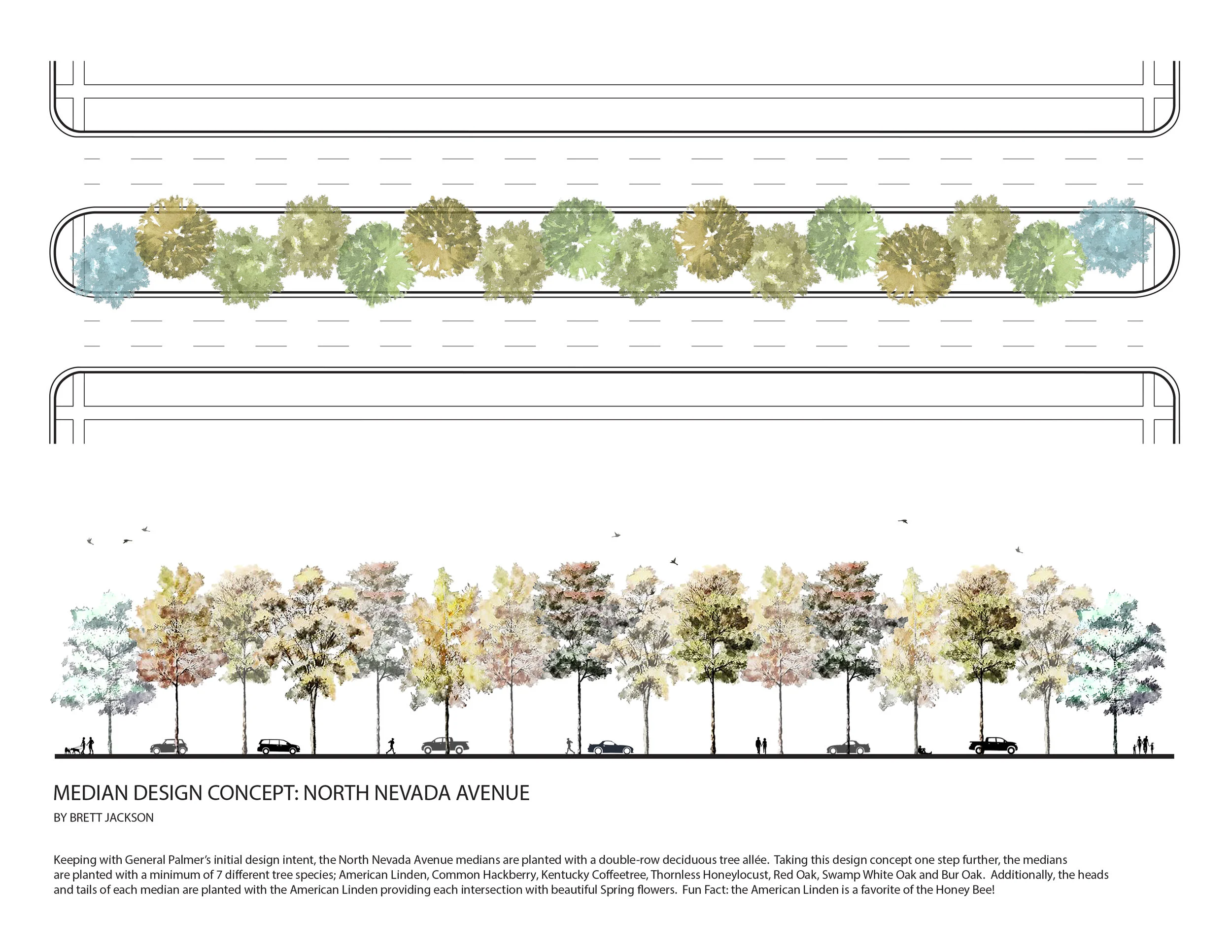 Median Design Concept - Nevada Ave FINAL.jpg