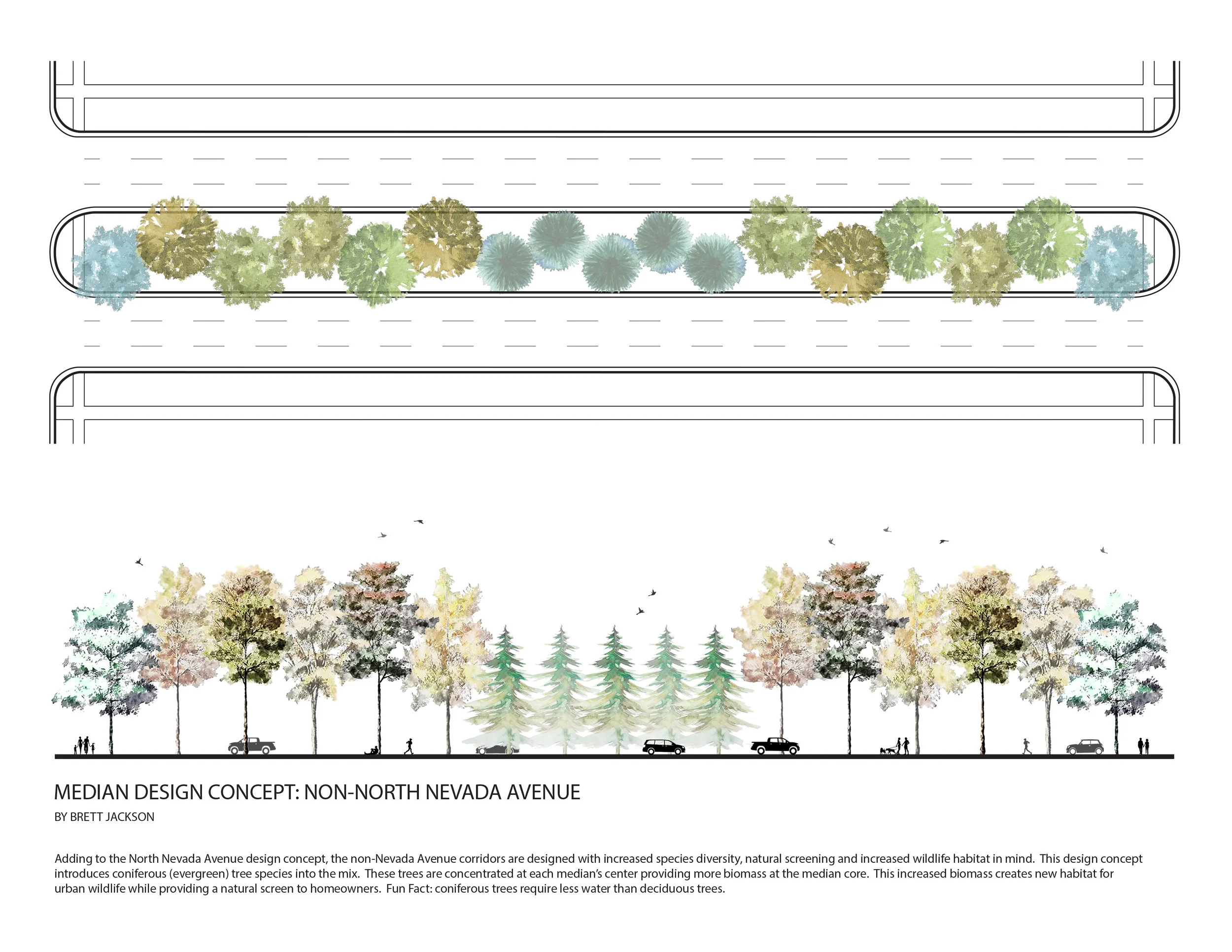 Median Design Concept - NON-Nevada Ave FINAL.jpg